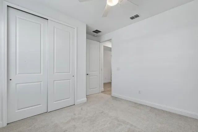 a view of a field with a tree