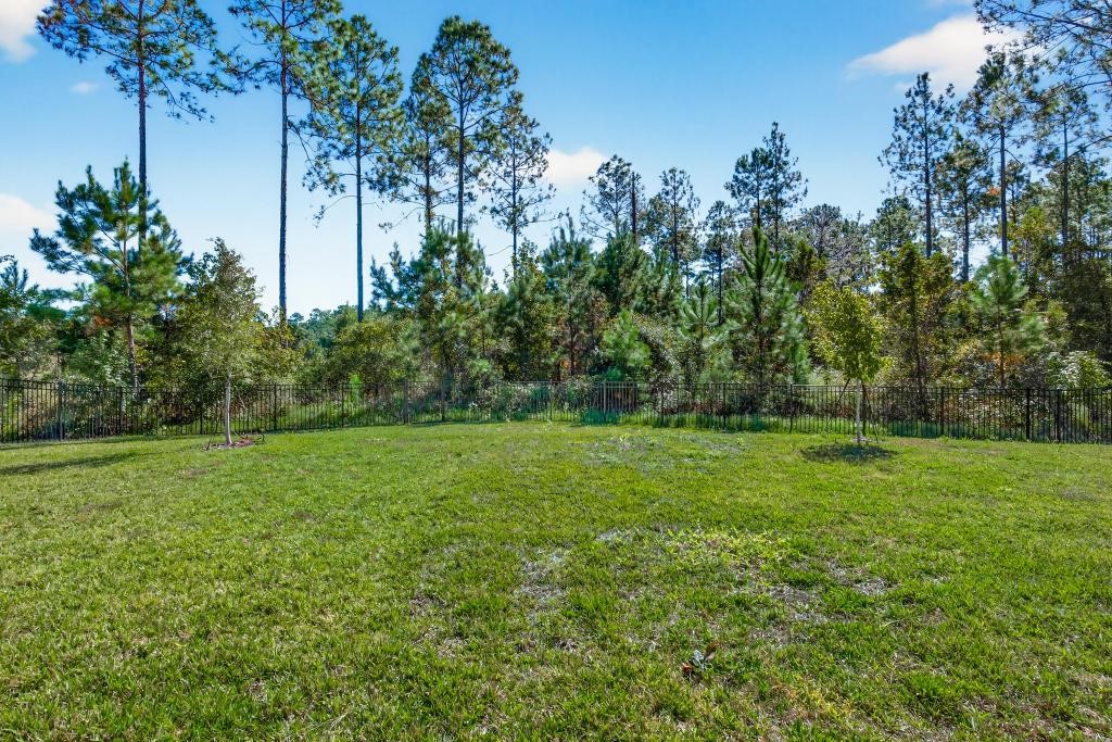 75776 Estuary Way Yulee, FL 32097 - Photo 51 of 83 a view of outdoor space and yard