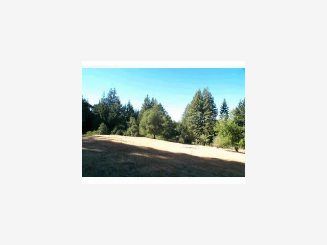 24541 Miller Hill Road Los Gatos, CA 95033 - Photo 3 of 3