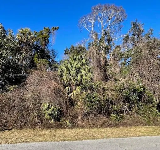 $9,088 | 11147 West State Park Street, Crystal River, FL 34428