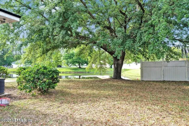 a view of backyard with large trees