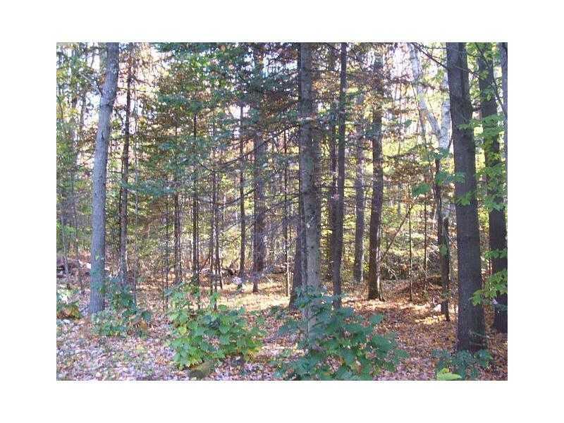 Lot 0 Campground Road Arundel, ME 04046 - Photo 2 of 2 Land.