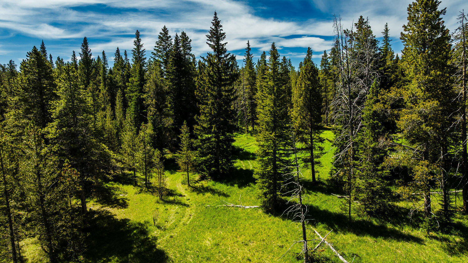 Hazelton Road Buffalo, WY 82834 - Photo 22 of 79 021_dji_20250628102507_0524_d_611