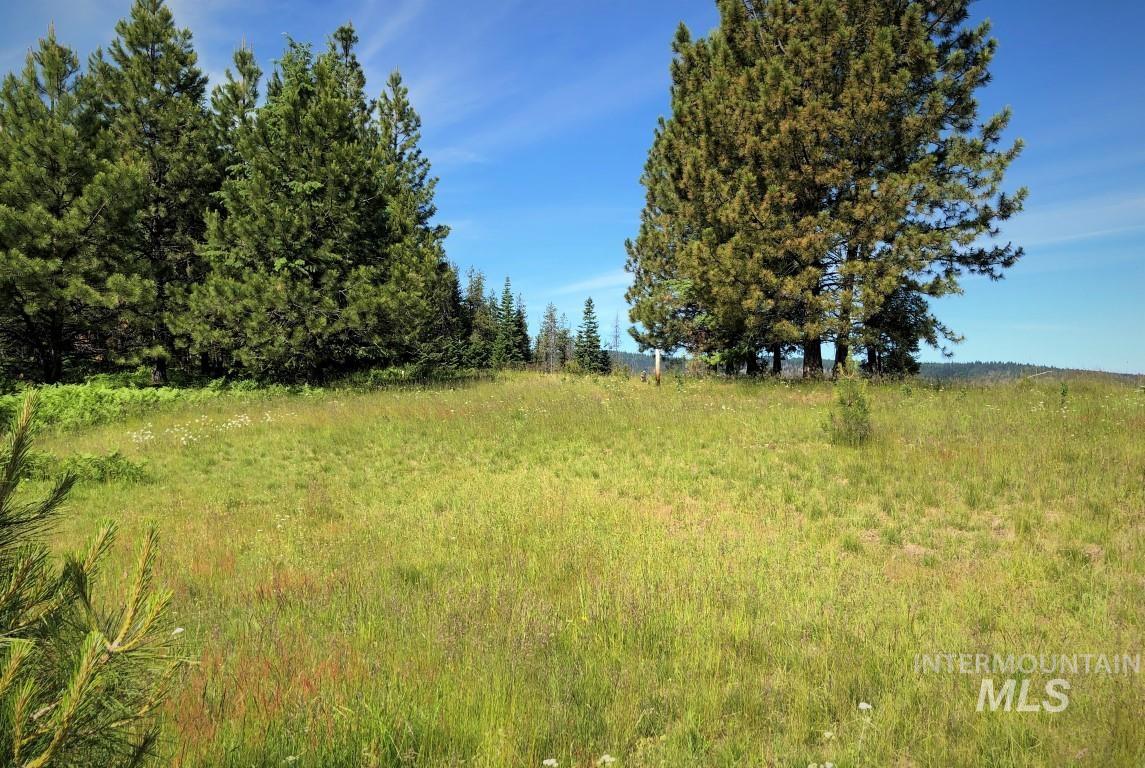 5 Hungry Ridge Road Grangeville, ID 83530 - Photo 21 of 24
