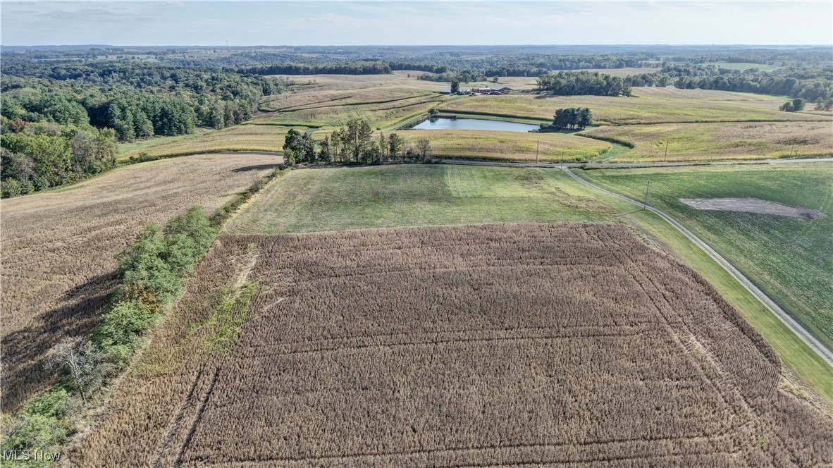 520 State Route Glenmont, OH 44628 - Photo 9 of 20 Overview of rural landscape with rows of crops and a large body of water