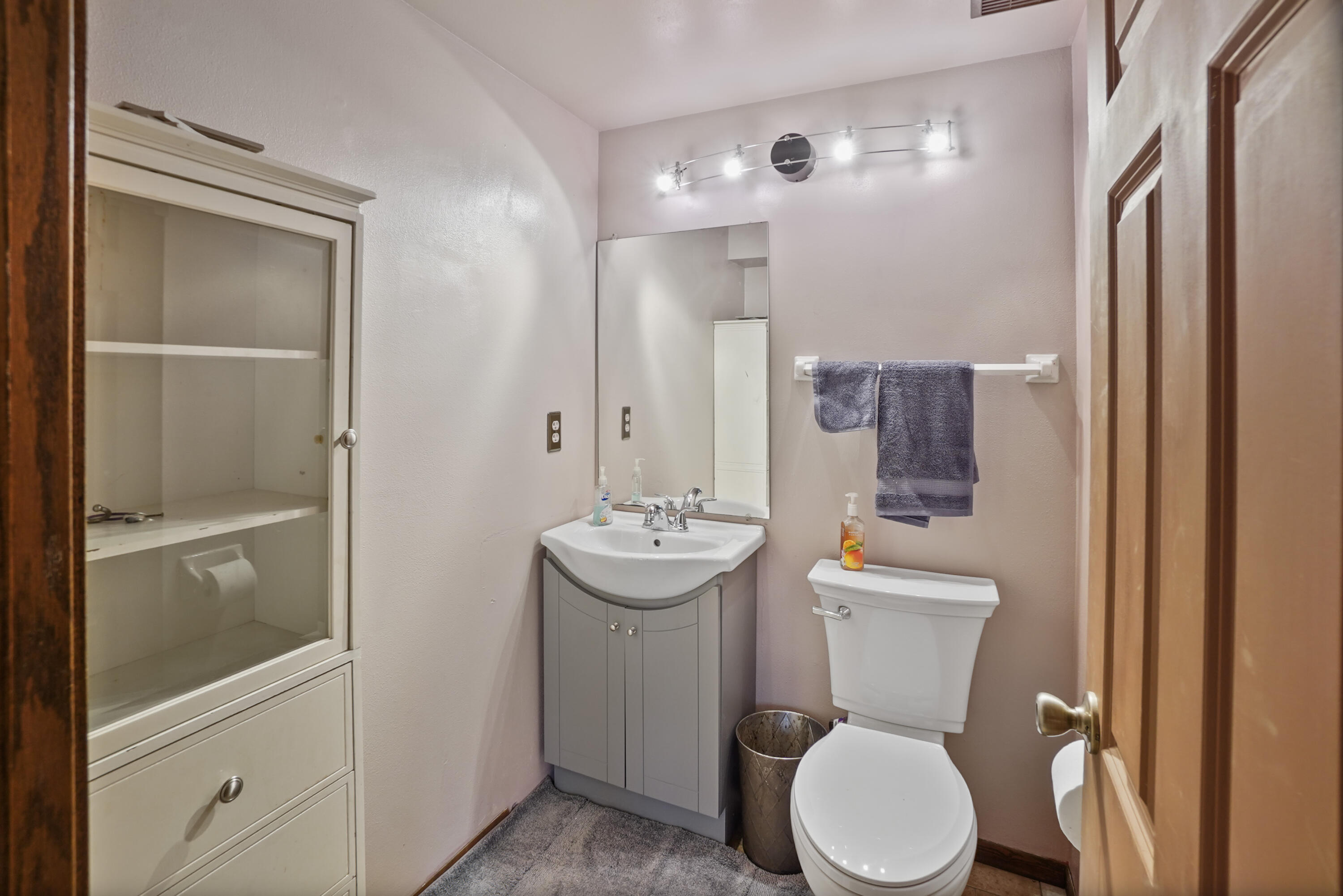 W293S3017 Ancestral Drive Genesee, WI 53188 - Photo 22 of 29 Lower Half Bath