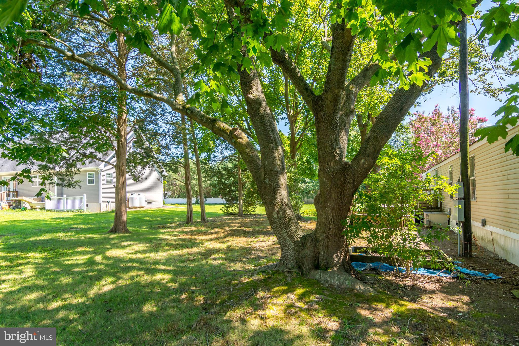 35627 Wolfe Neck Road Rehoboth Beach, DE 19971 - Photo 6 of 11 Gallery Image 6