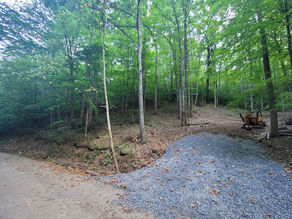 14 Cara Way Cosby, TN 37722 - Photo 3 of 18