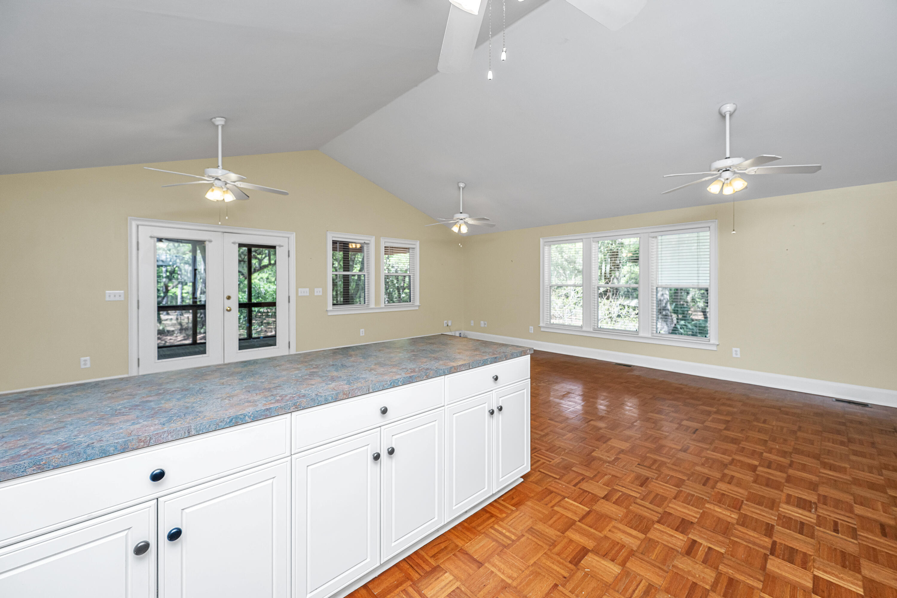 8389 Chisolm Plantation Road Edisto Island, SC 29438 - Photo 17 of 62 8389ChisolmPlantationRd021