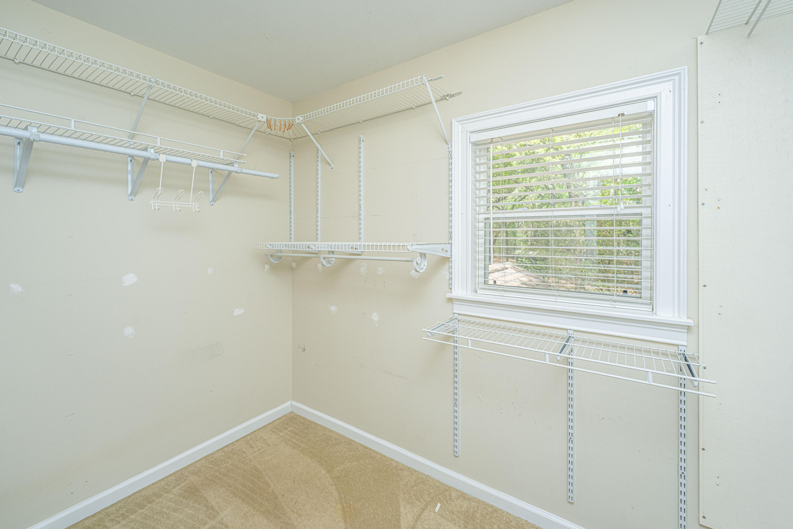 8389 Chisolm Plantation Road Edisto Island, SC 29438 - Photo 21 of 62 8389ChisolmPlantationRd028