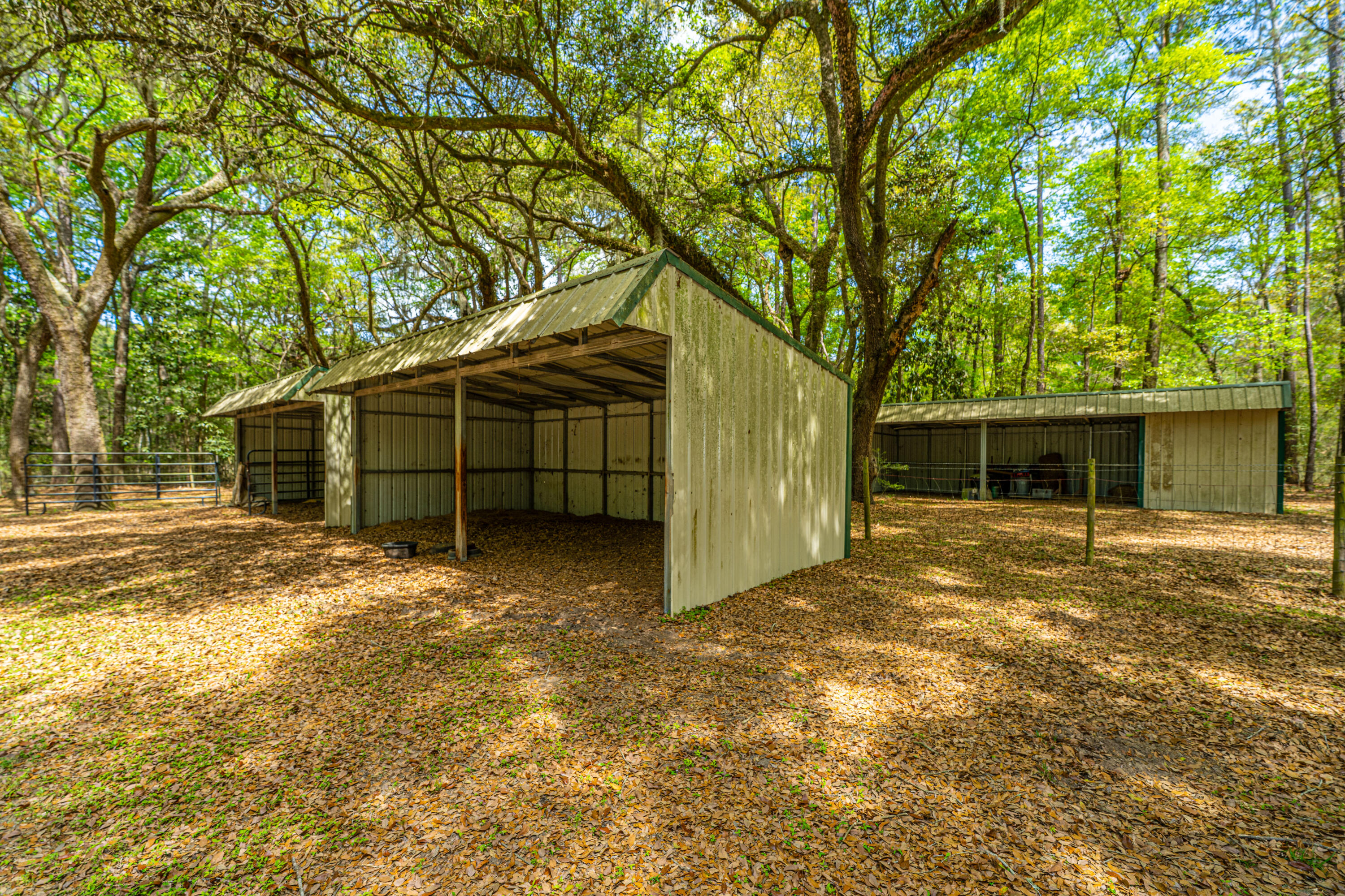 8389 Chisolm Plantation Road Edisto Island, SC 29438 - Photo 47 of 62 8389ChisolmPlantationRd038