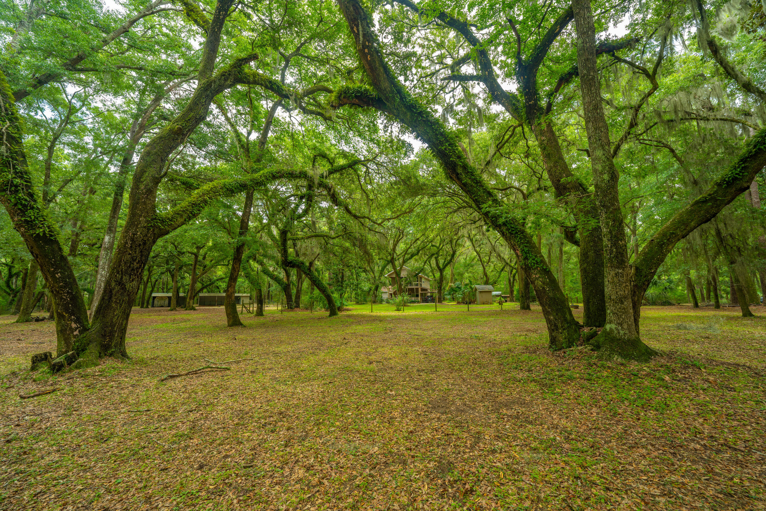 8389 Chisolm Plantation Road Edisto Island, SC 29438 - Photo 49 of 62 8389ChisolmPlantationRd004