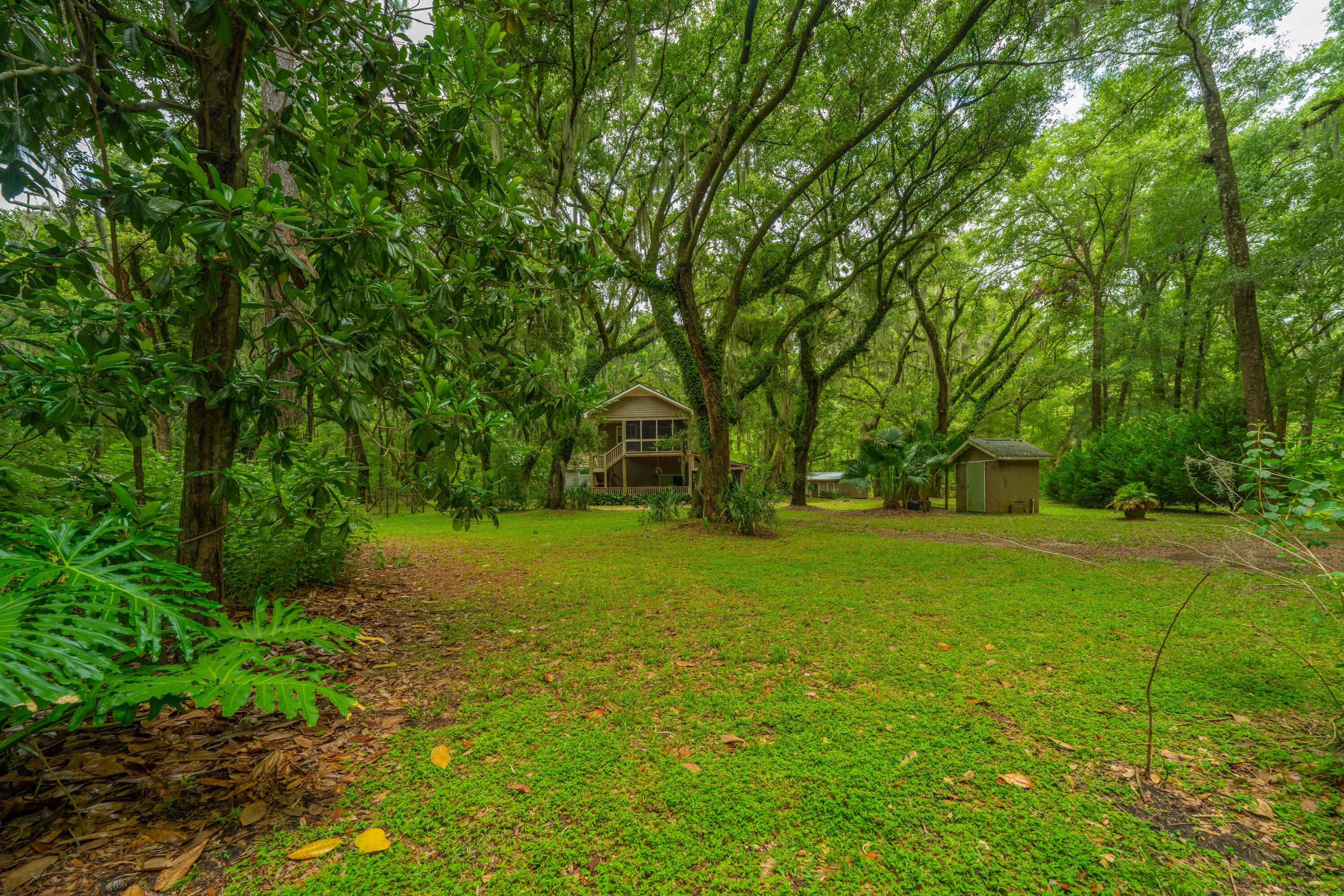 8389 Chisolm Plantation Road Edisto Island, SC 29438 - Photo 51 of 62 8389ChisolmPlantationRd058