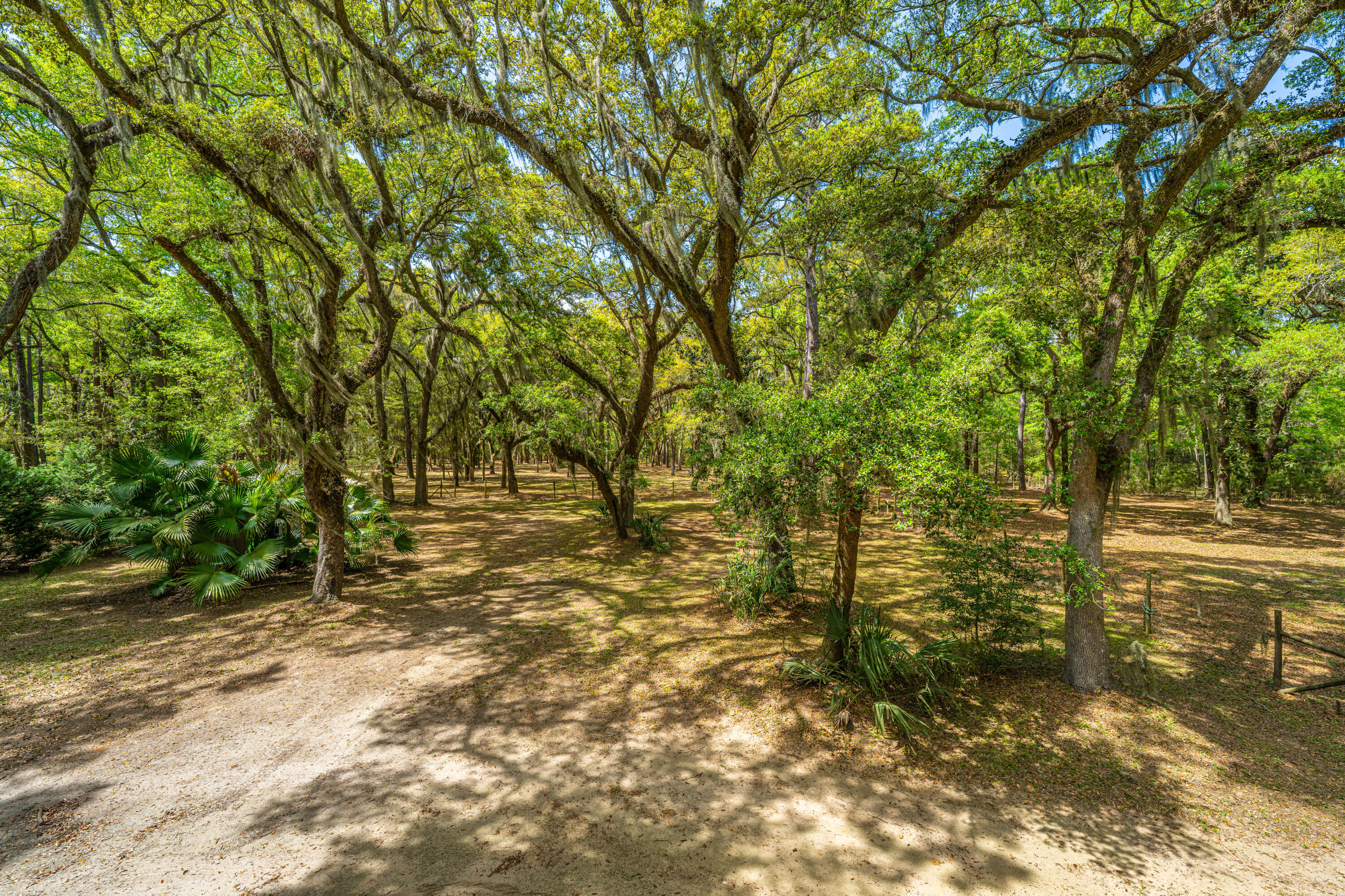 8389 Chisolm Plantation Road Edisto Island, SC 29438 - Photo 52 of 62 8389ChisolmPlantationRd062