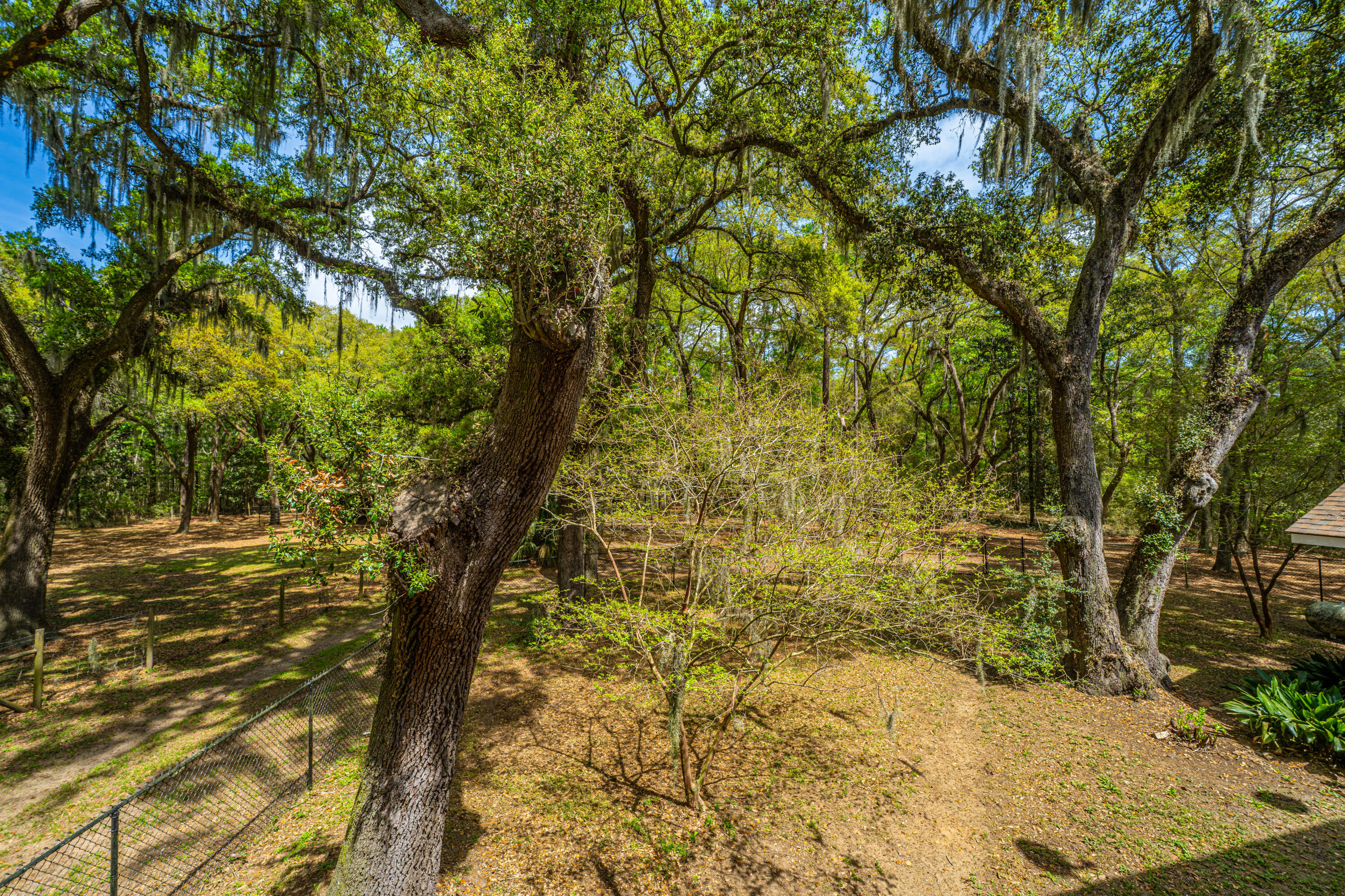 8389 Chisolm Plantation Road Edisto Island, SC 29438 - Photo 53 of 62 8389ChisolmPlantationRd063