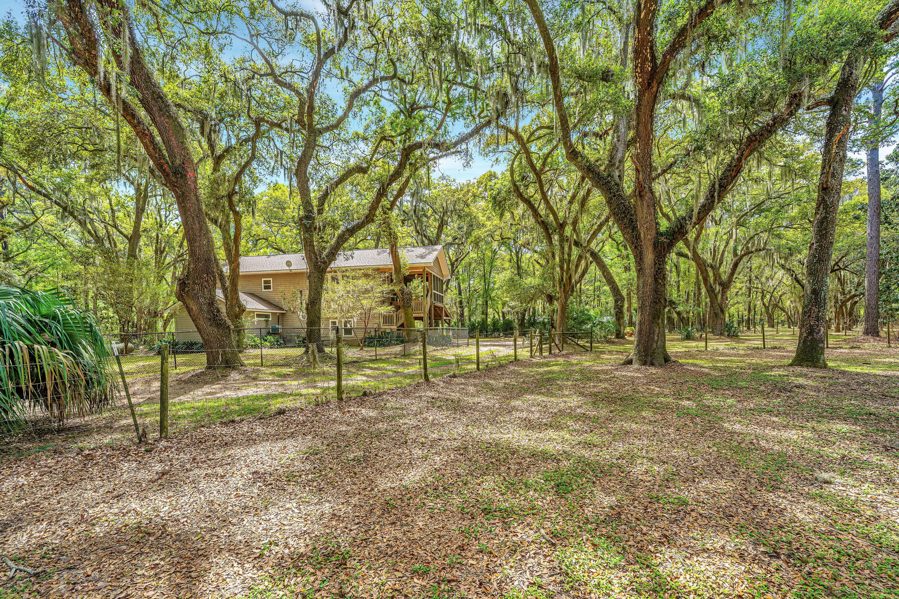 8389 Chisolm Plantation Road Edisto Island, SC 29438 - Photo 56 of 62 8389ChisolmPlantationRd006
