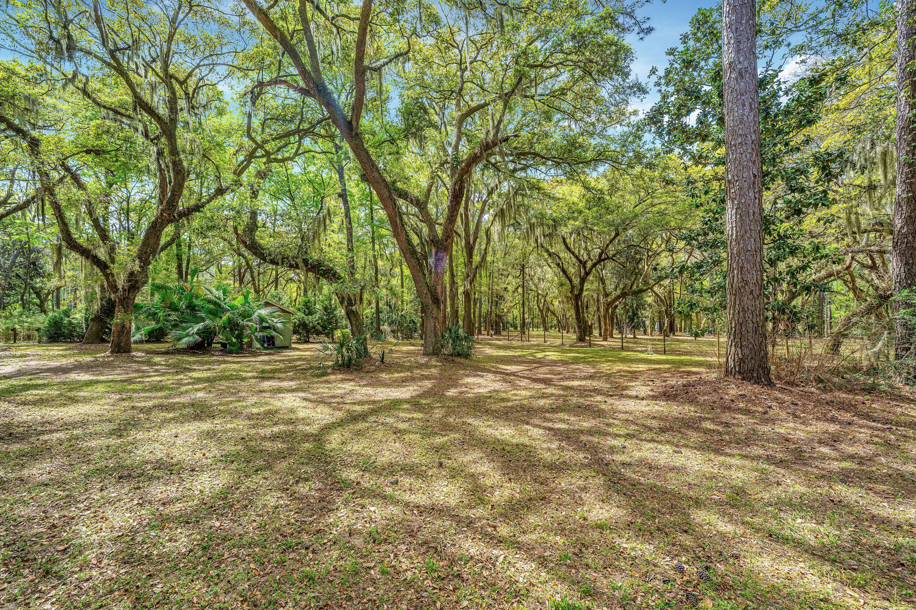 8389 Chisolm Plantation Road Edisto Island, SC 29438 - Photo 57 of 62 8389ChisolmPlantationRd008