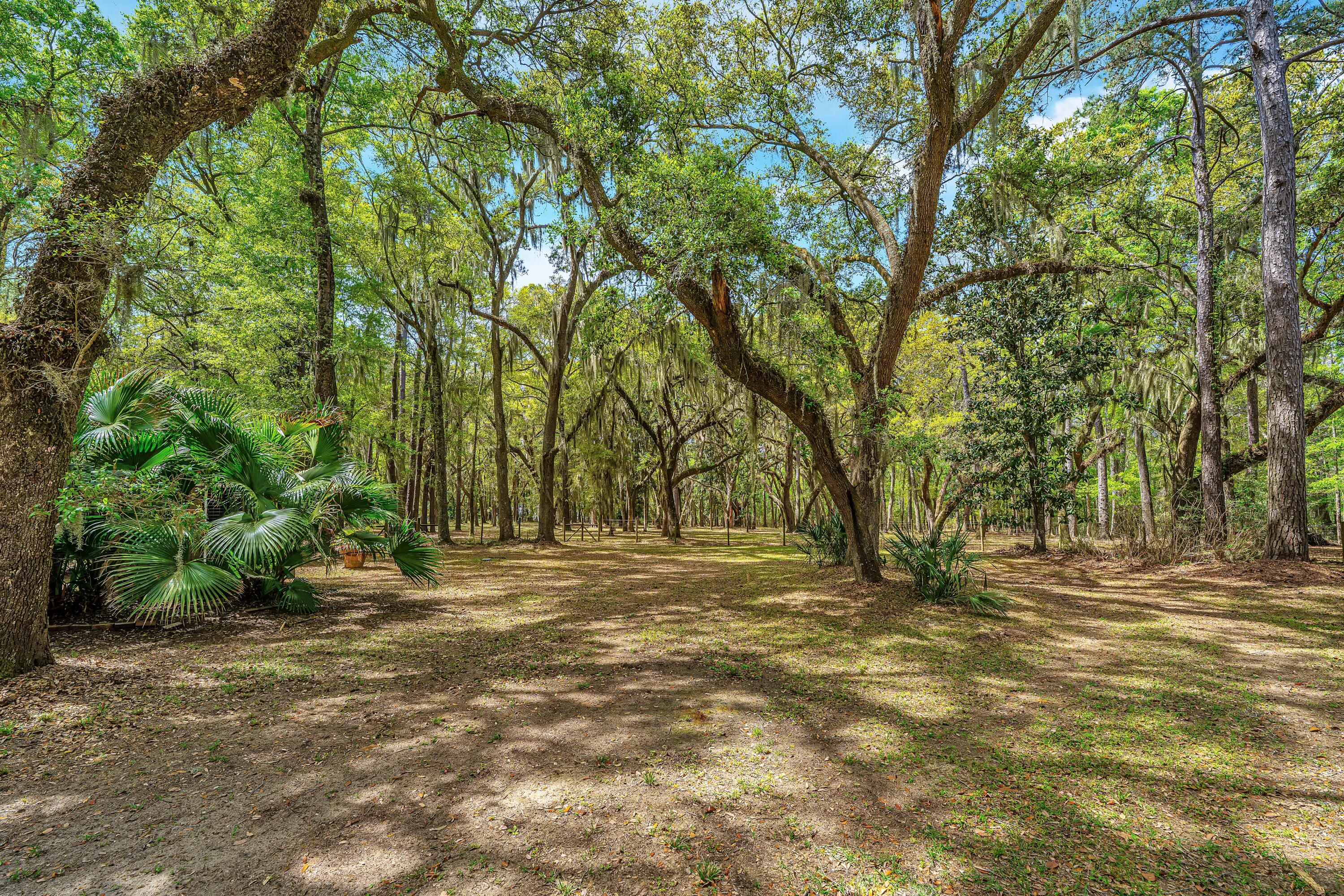 8389 Chisolm Plantation Road Edisto Island, SC 29438 - Photo 58 of 62 8389ChisolmPlantationRd010