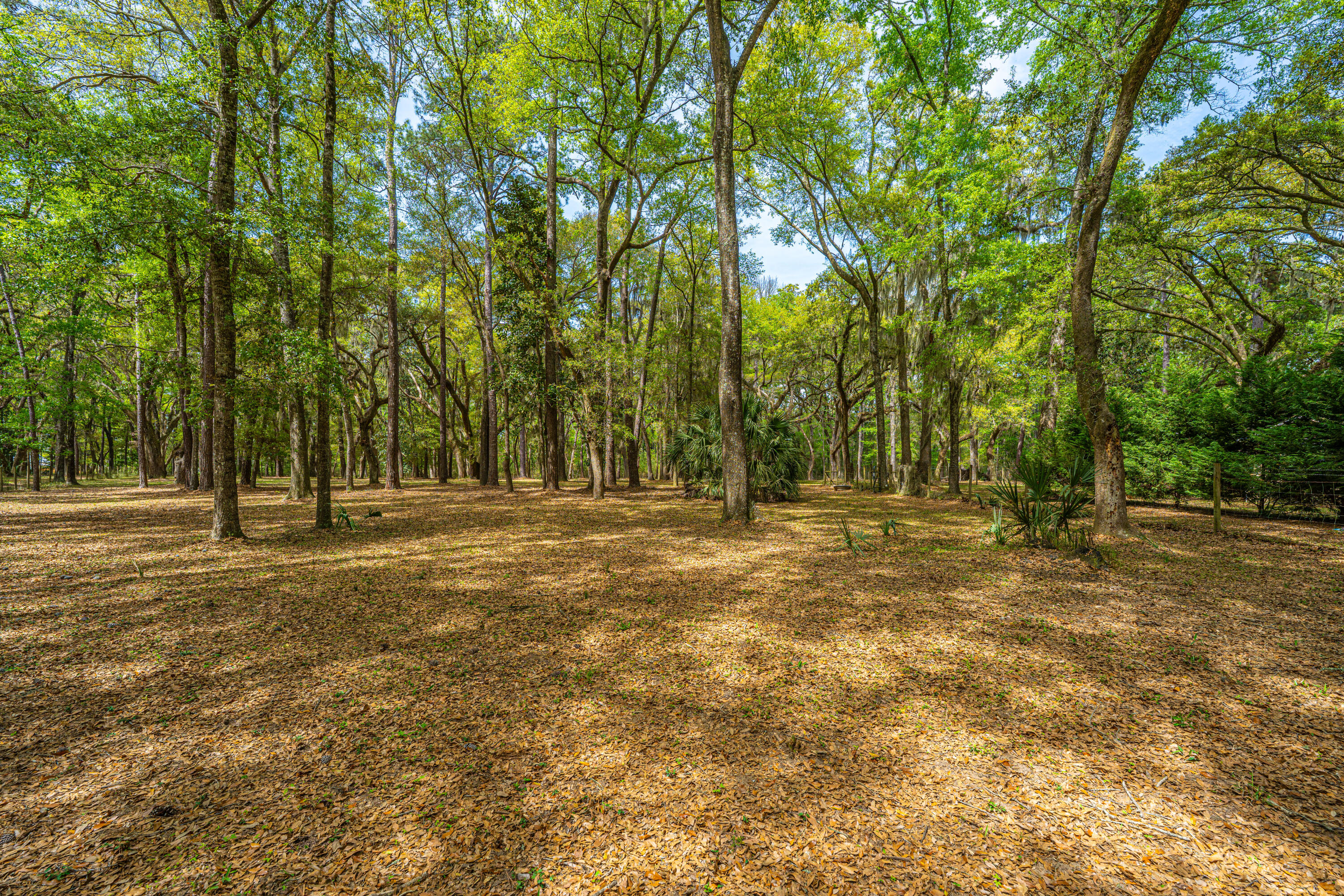 8389 Chisolm Plantation Road Edisto Island, SC 29438 - Photo 59 of 62 8389ChisolmPlantationRd030