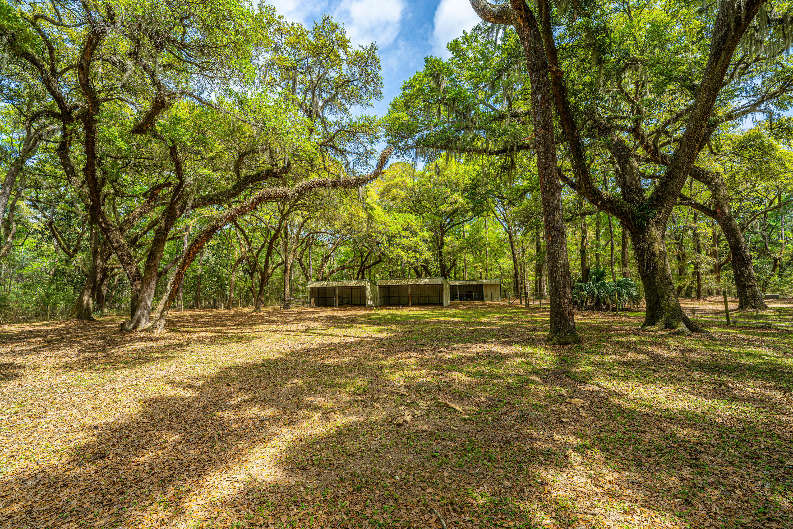 8389 Chisolm Plantation Road Edisto Island, SC 29438 - Photo 61 of 62 8389ChisolmPlantationRd040
