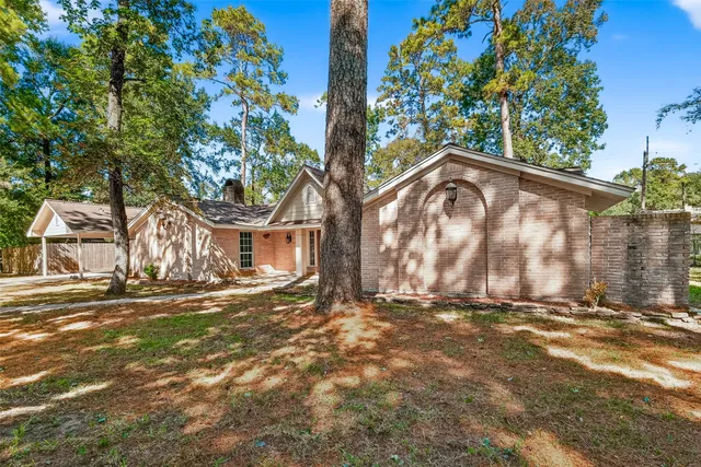 a view of a yard with a large tree