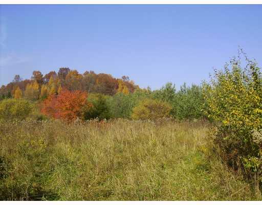 Midberry Road Harrisville, PA 16038 - Photo 2 of 14 Land.