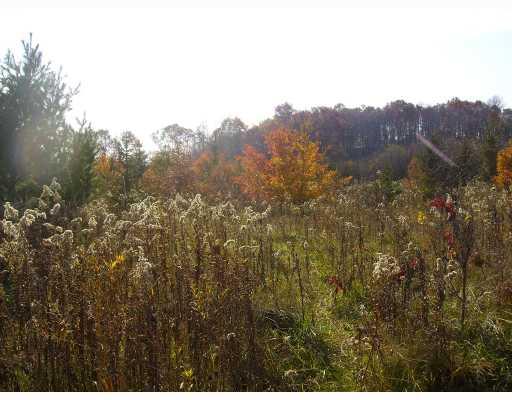 Midberry Road Harrisville, PA 16038 - Photo 11 of 14 Land.