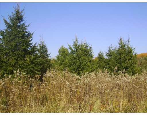 Midberry Road Harrisville, PA 16038 - Photo 3 of 14 Land.