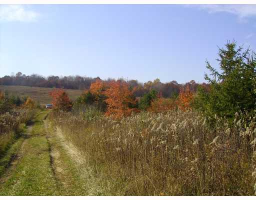 Midberry Road Harrisville, PA 16038 - Photo 4 of 14 Land.