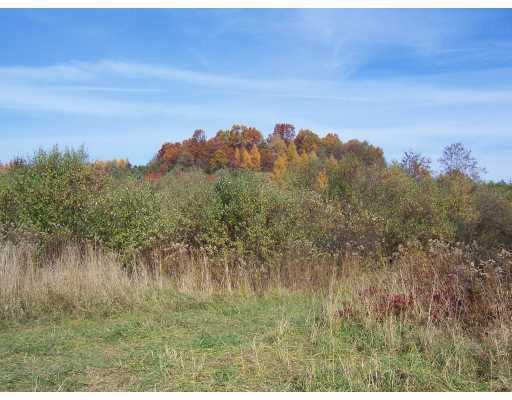 Midberry Road Harrisville, PA 16038 - Photo 6 of 14 Land.