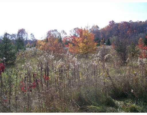 Midberry Road Harrisville, PA 16038 - Photo 7 of 14 Land/Lot.