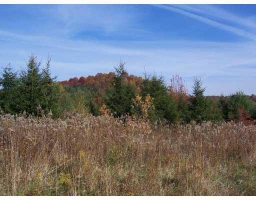 Midberry Road Harrisville, PA 16038 - Photo 9 of 14 Land/Lot.
