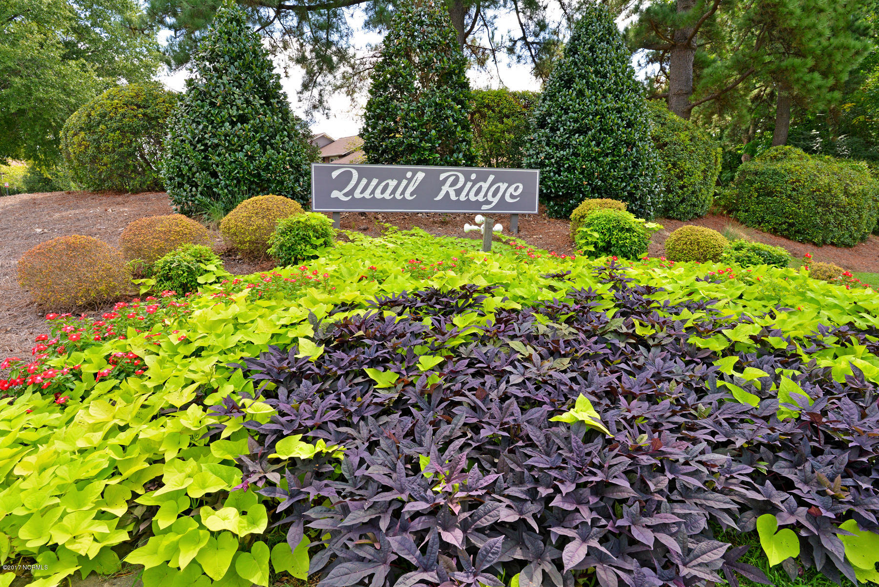 1864 Quail Ridge Road, Unit P Greenville, NC 27858 - Photo 1 of 28 1864 Quail Ridge Unit P-00048
