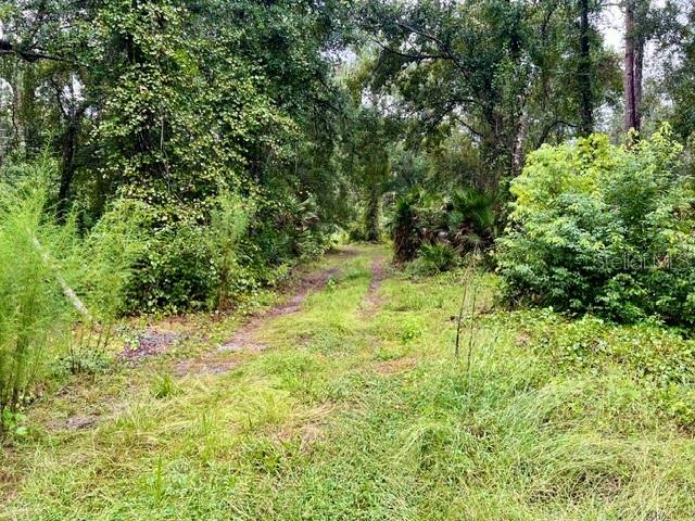 Xxx Water Oak Road Bunnell, FL 32110 - Photo 4 of 19 Gallery Image 4