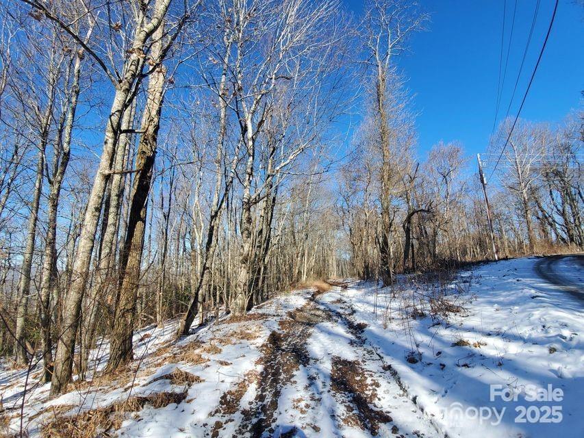 Tbd Henredon Road Spruce Pine, NC 28777 - Photo 2 of 10 a view of backyard with green space