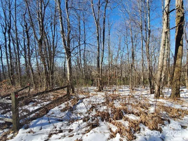 a view of outdoor space with lots of trees