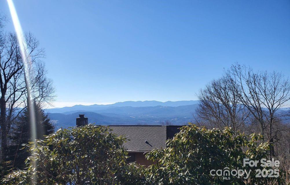 Tbd Henredon Road Spruce Pine, NC 28777 - Photo 4 of 10 a view of a house with a garden