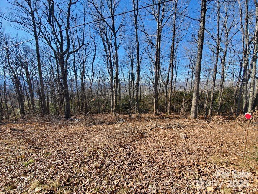 Tbd Henredon Road Spruce Pine, NC 28777 - Photo 5 of 10 a backyard of a house with lots of green space