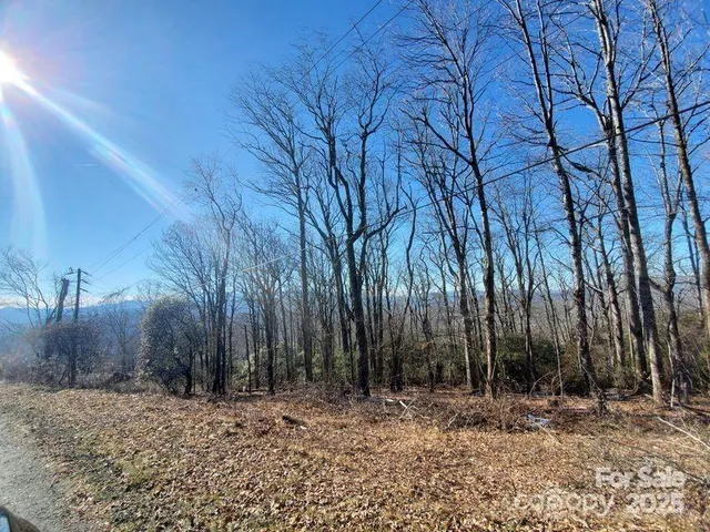 a view of a backyard with trees