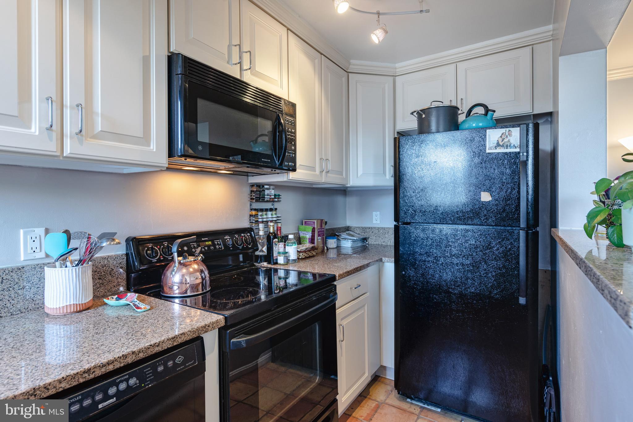 1661 Park Road Northwest, Unit 301 Washington, DC 20010 - Photo 9 of 16 Kitchen