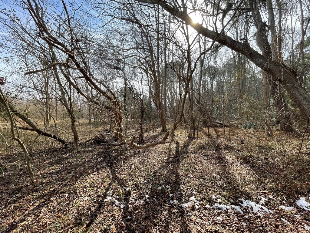 3.65 Old Neck Road, Unit 1 Weems, VA 22576 - Photo 9 of 35