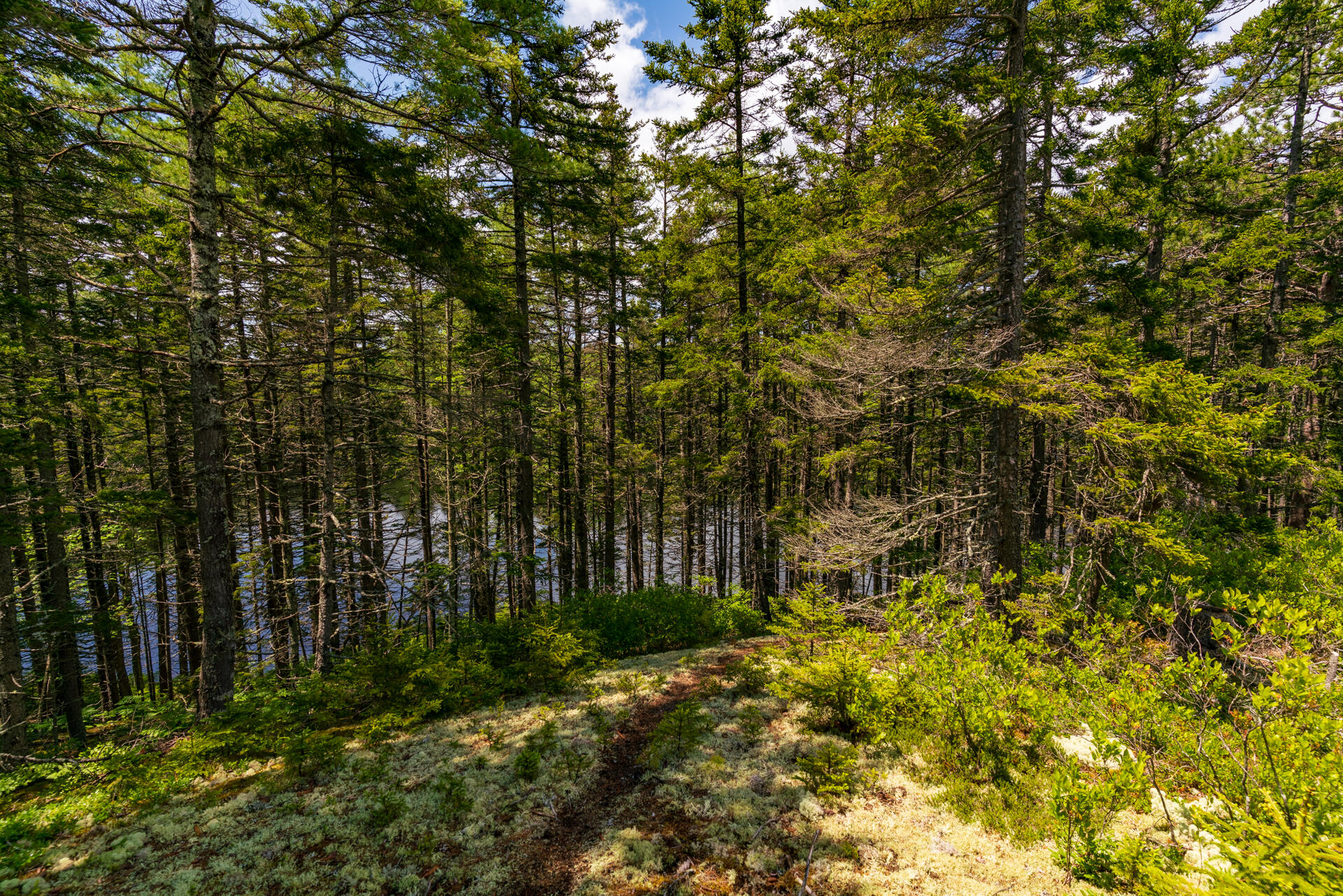 108 Forest Lake Road Friendship, ME 04547 - Photo 41 of 61 _DSC5172-HDR