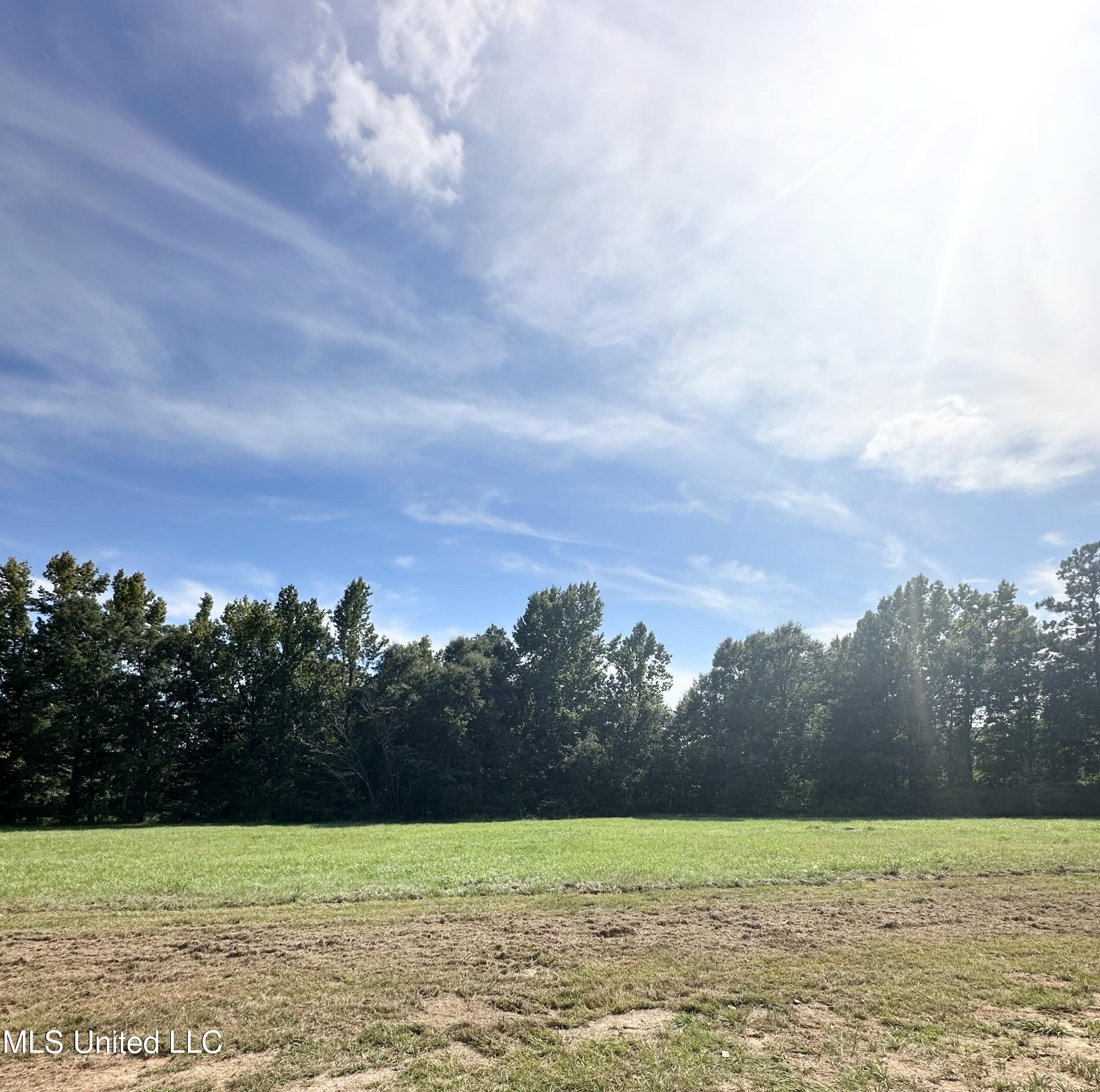 41 Sones Chapel Road Carriere, MS 39426 - Photo 22 of 22 IMG_2262