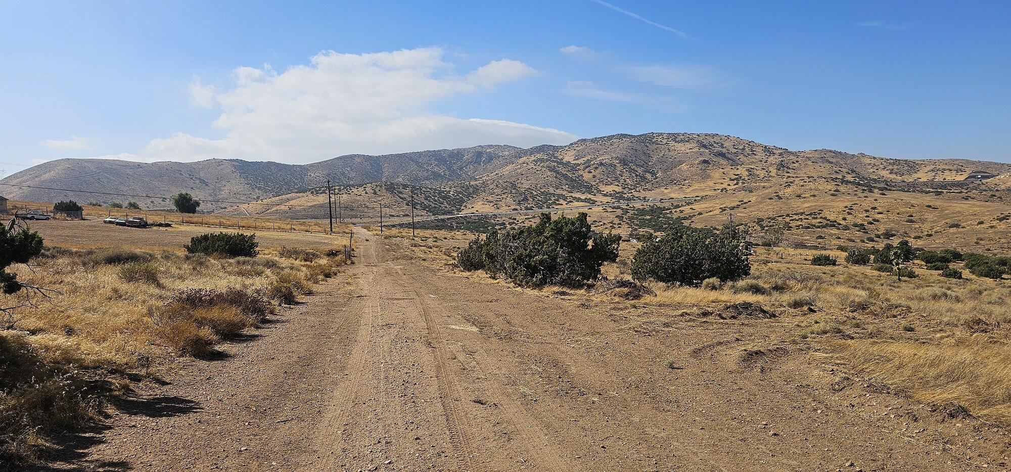 East Carson Mesa Road Palmdale, CA 93550 - Photo 2 of 8 a view of a dry yard with mountains in the background