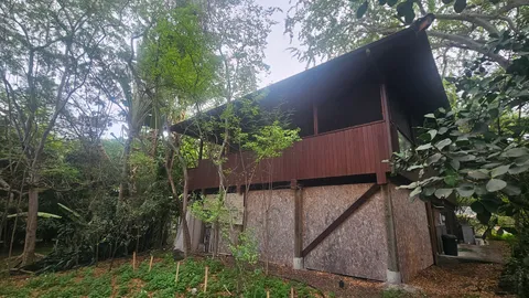a view of lake with green space