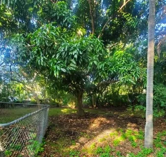 a backyard of a house with lots of green space and a fountain