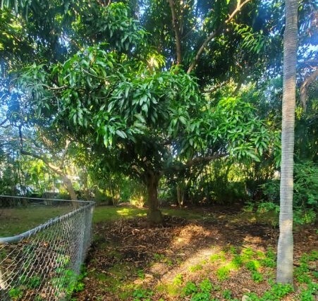 82-6284 Puuhonua Road Captain Cook, HI 96704 - Photo 27 of 30 a view of lake with green space
