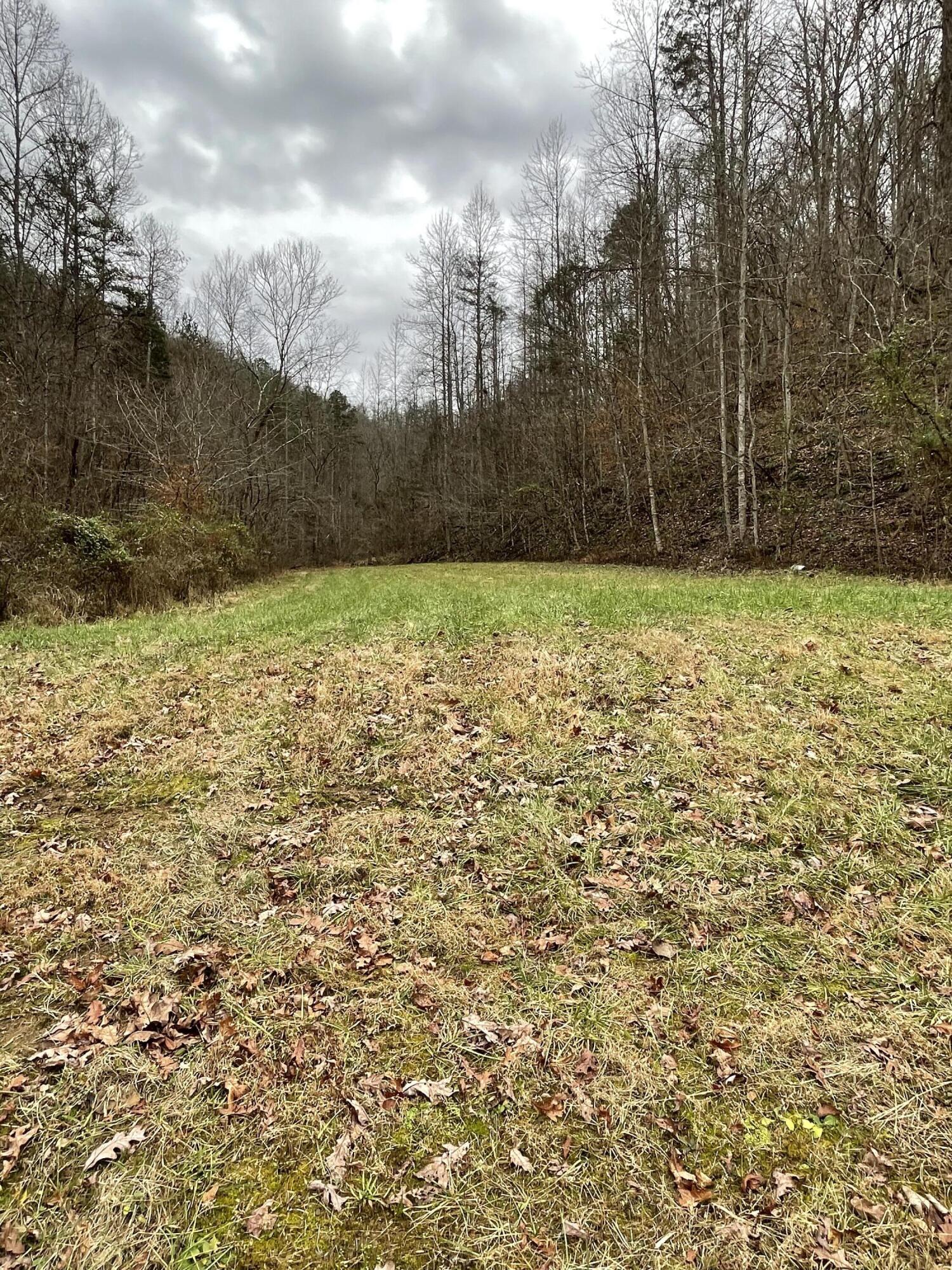 4617 Crane Creek Road Manchester, KY 40962 - Photo 32 of 53 87CD3AAD-34BE-4601-97E1-2D3151320370