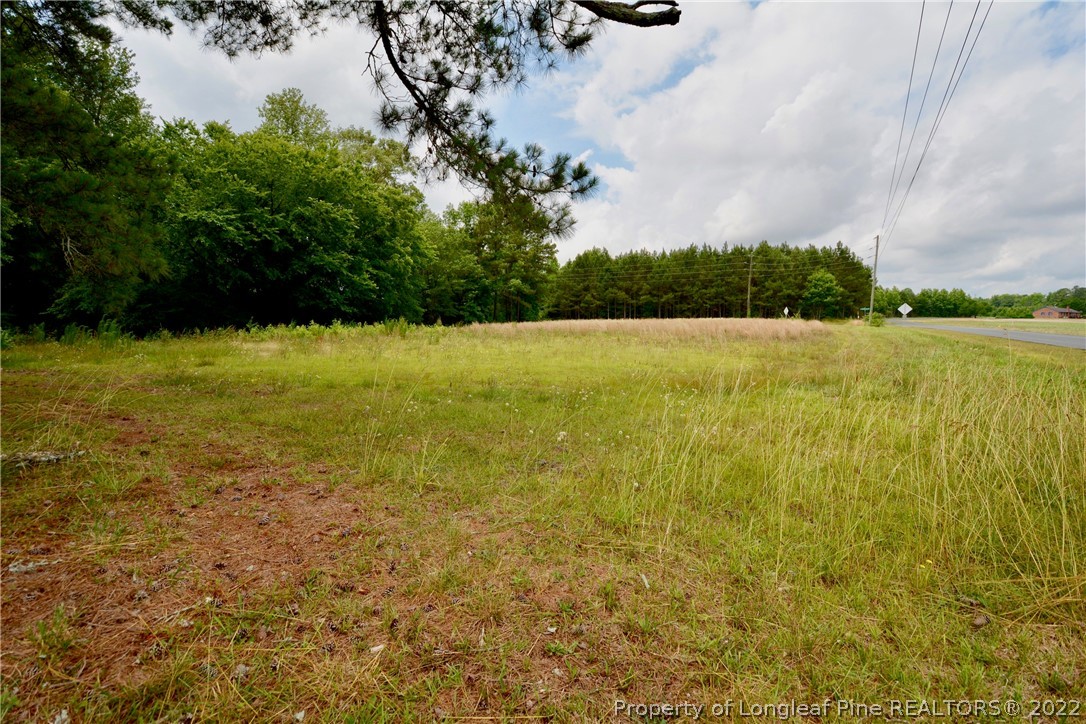 6140 Barefoot Road Wade, NC 28395 - Photo 3 of 20 Gallery Image 3
