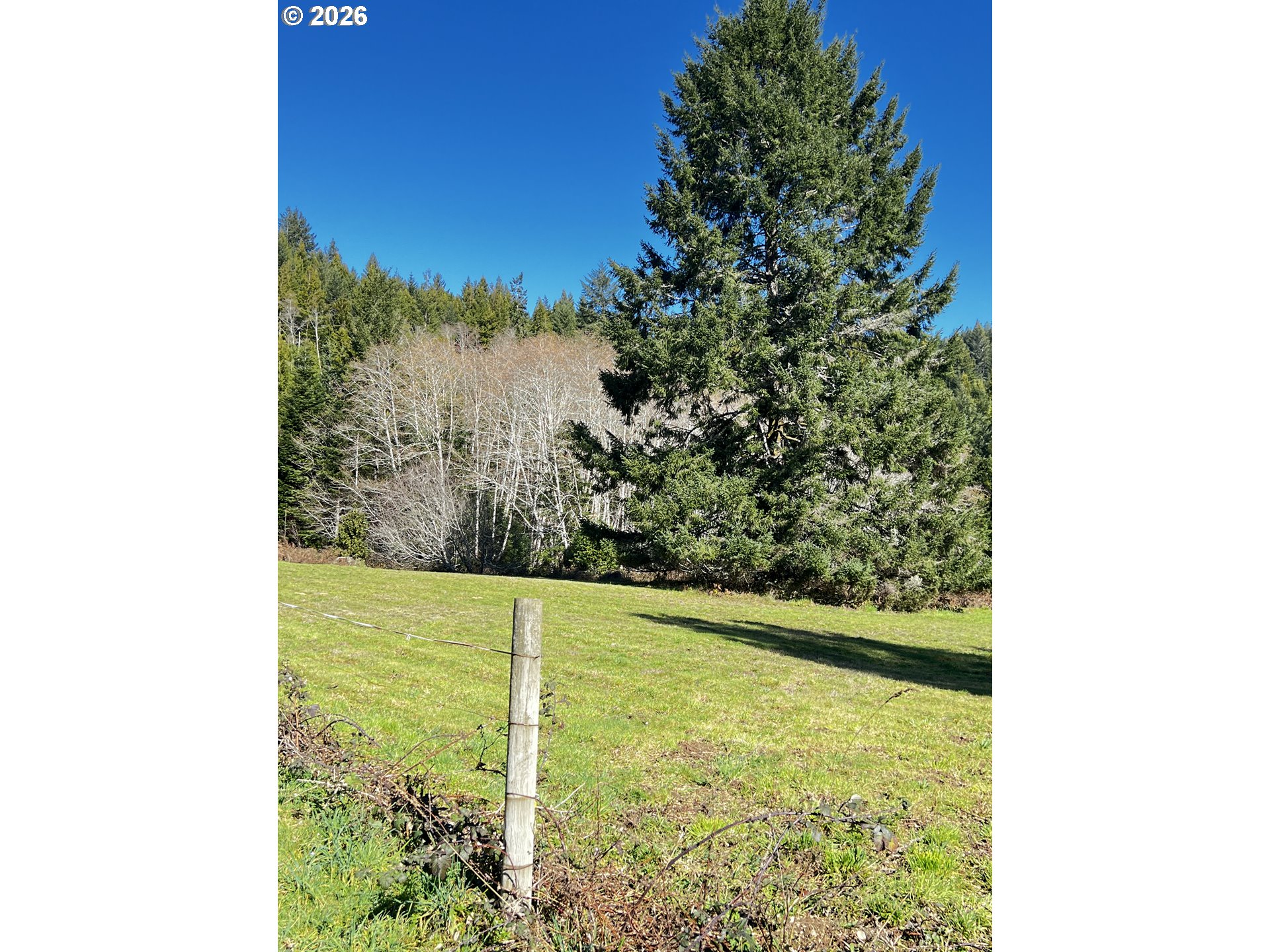 407 Winchuck River Road Brookings, OR 97415 - Photo 39 of 40